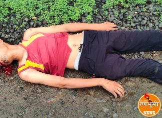 अहेरी तालुक्यातील आलापल्ली वरून मूलचेरा जात असतांना एसटी बसने पायदल स्वाराला धडक दिली, व्यक्ती गंभीर जखमी